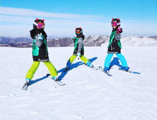 国产滑雪裤测试视频在线观看,保暖舒适，性价比高