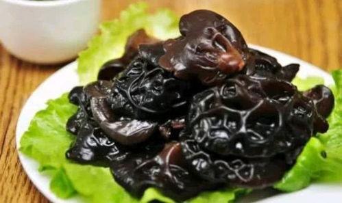 国产黑木耳孕妇推荐视频,国产黑木耳营养视频推荐