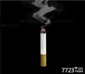 国产烟制作教程图解视频,图解视频精华概述